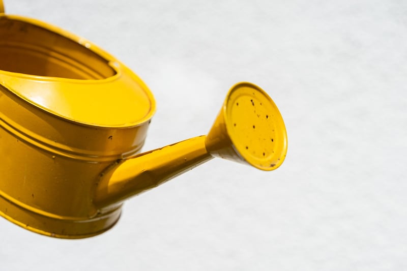 Mermaid Watering Can